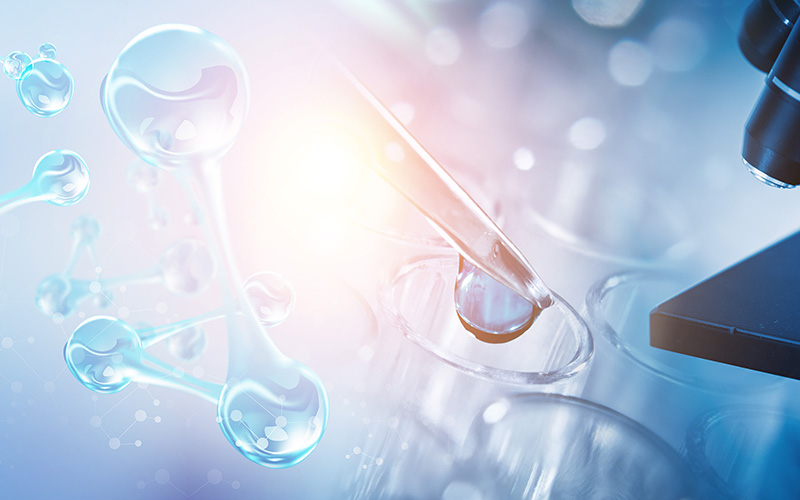 Domestic and foreign pharmaceutical companies have accelerated their innovation, and huge investment has become the norm